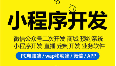 制作小程序，不知道小程序分类，小程序制作很难
